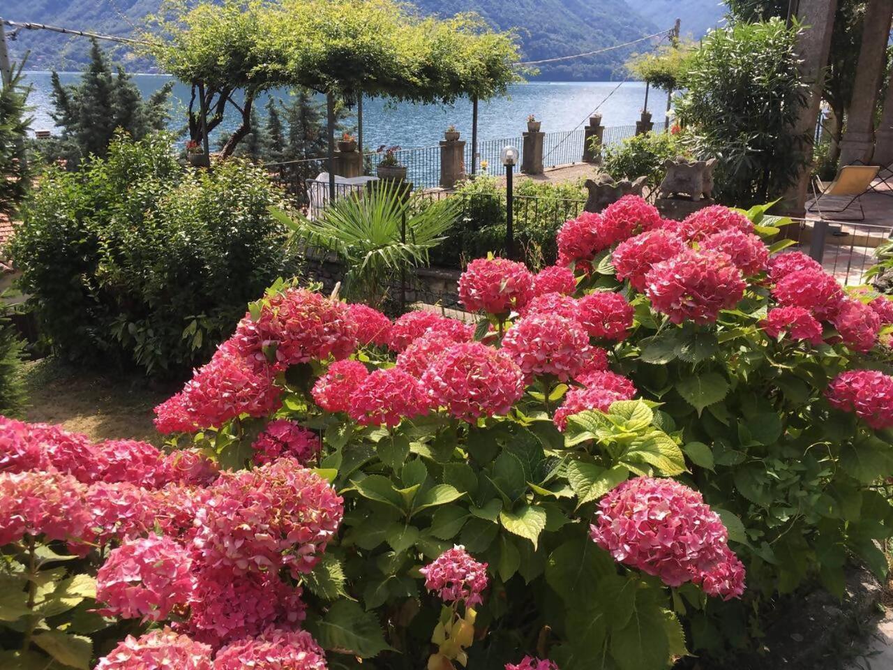 Villa Peroni Honeymoon Cottage 아르제뇨 외부 사진